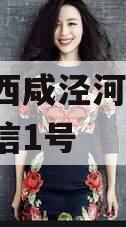 西安西咸泾河2024年政信1号