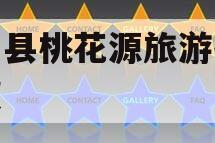 酉阳县桃花源旅游投资债权