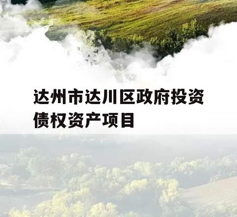 达州市达川区政府投资债权资产项目