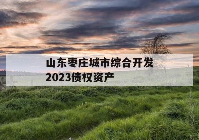 山东枣庄城市综合开发2023债权资产