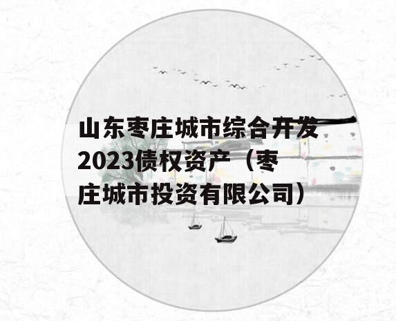 山东枣庄城市综合开发2023债权资产（枣庄城市投资有限公司）