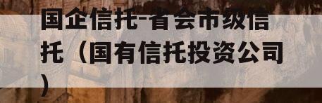 国企信托-省会市级信托（国有信托投资公司）
