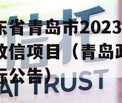 山东省青岛市2023年政信项目（青岛政务招标公告）