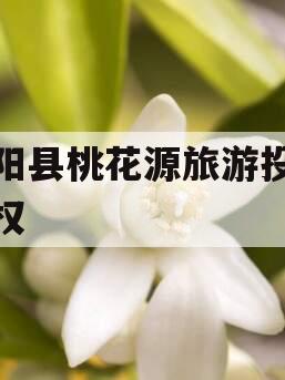 酉阳县桃花源旅游投资债权