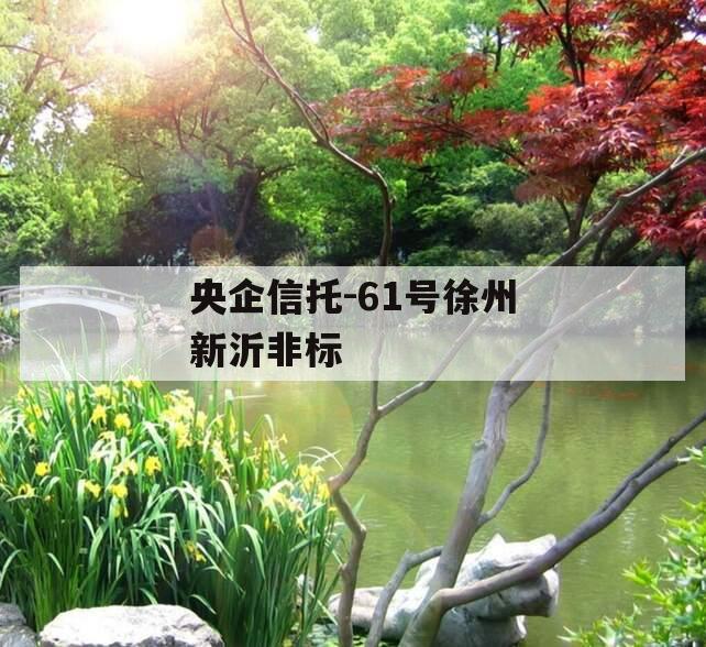 央企信托-61号徐州新沂非标