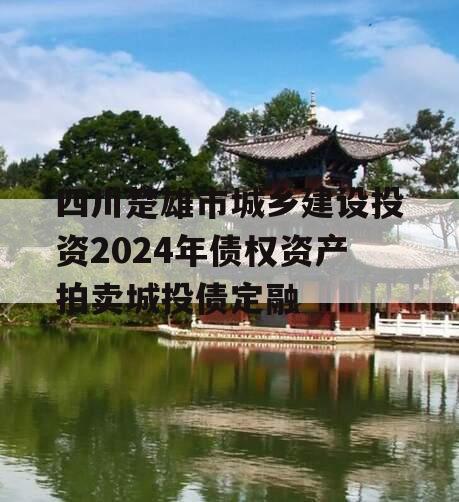 四川楚雄市城乡建设投资2024年债权资产拍卖城投债定融