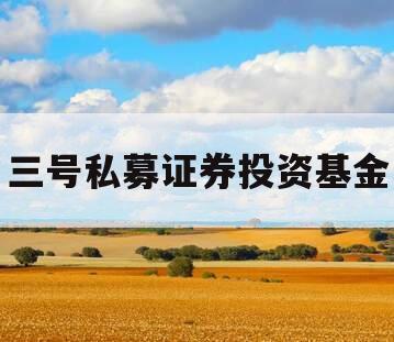 三号私募证券投资基金