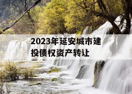 2023年延安城市建投债权资产转让