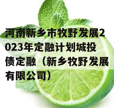 河南新乡市牧野发展2023年定融计划城投债定融（新乡牧野发展有限公司）