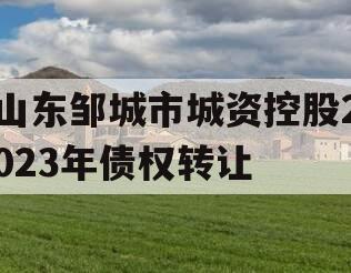 山东邹城市城资控股2023年债权转让