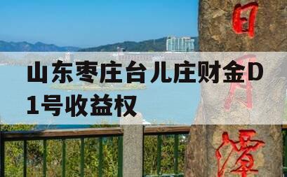 山东枣庄台儿庄财金D1号收益权