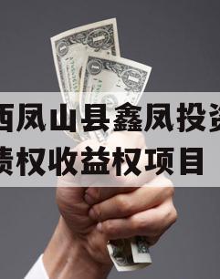 广西凤山县鑫凤投资发展债权收益权项目