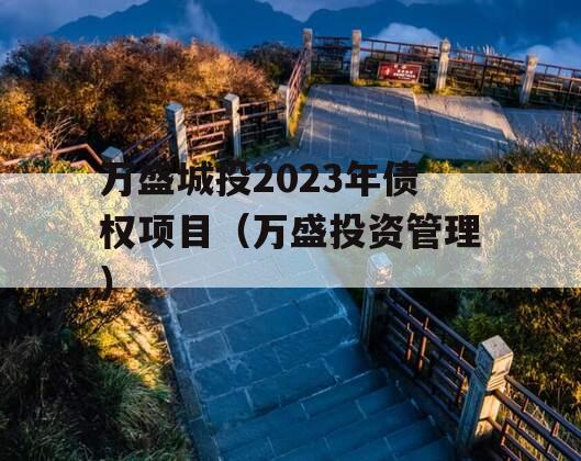 万盛城投2023年债权项目（万盛投资管理）