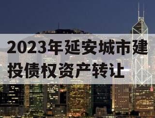 2023年延安城市建投债权资产转让