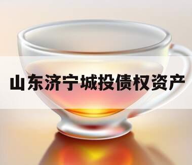 山东济宁城投债权资产