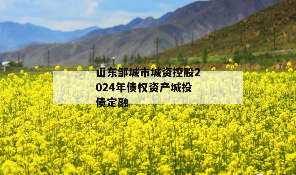 山东邹城市城资控股2024年债权资产城投债定融