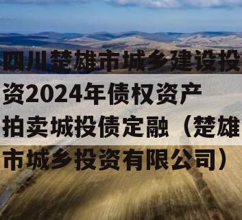 四川楚雄市城乡建设投资2024年债权资产拍卖城投债定融（楚雄市城乡投资有限公司）