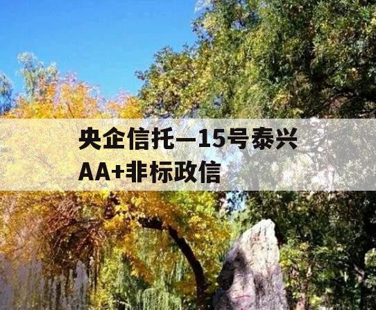 央企信托—15号泰兴AA+非标政信