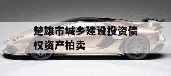 楚雄市城乡建设投资债权资产拍卖