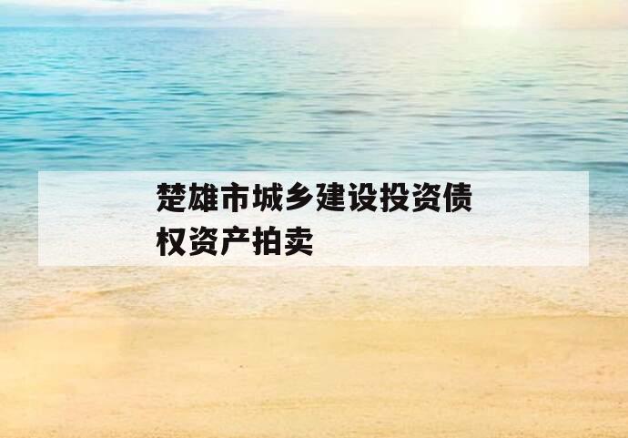 楚雄市城乡建设投资债权资产拍卖