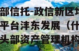 头部信托-政信新区地市平台沣东发展（什么是头部资产管理机构）