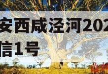 西安西咸泾河202年政信1号