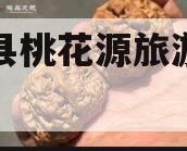 酉阳县桃花源旅游投资债权