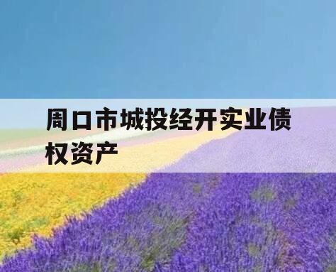 周口市城投经开实业债权资产