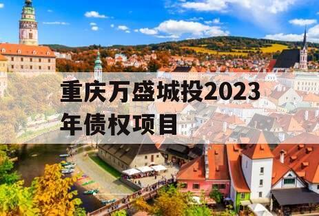 重庆万盛城投2023年债权项目