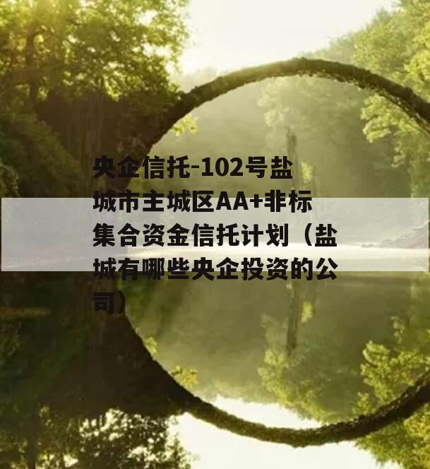 央企信托-102号盐城市主城区AA+非标集合资金信托计划（盐城有哪些央企投资的公司）