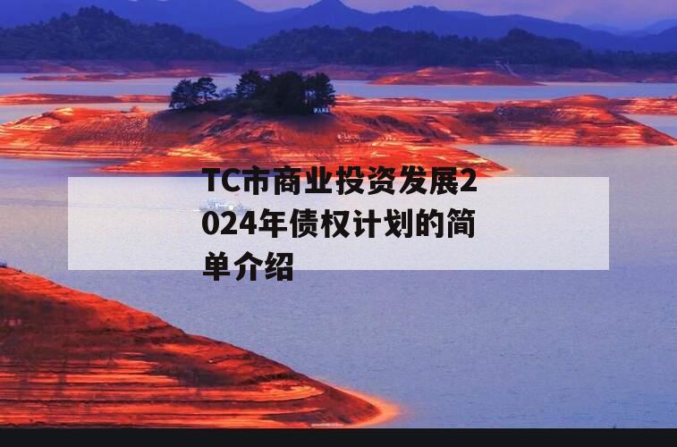 TC市商业投资发展2024年债权计划的简单介绍