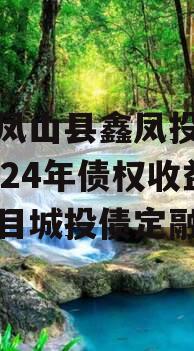 广西凤山县鑫凤投资发展2024年债权收益权项目城投债定融