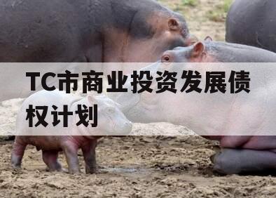 TC市商业投资发展债权计划