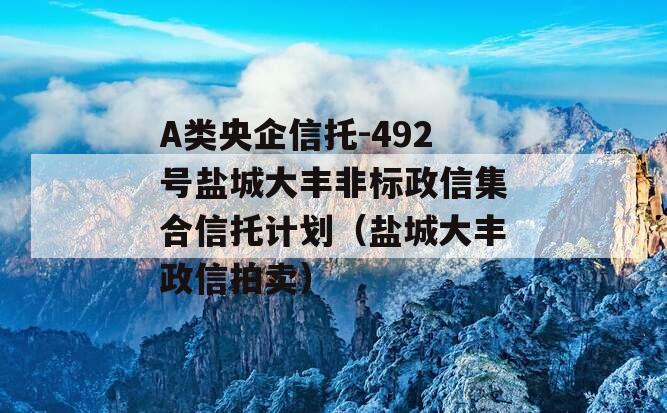 A类央企信托-492号盐城大丰非标政信集合信托计划（盐城大丰政信拍卖）
