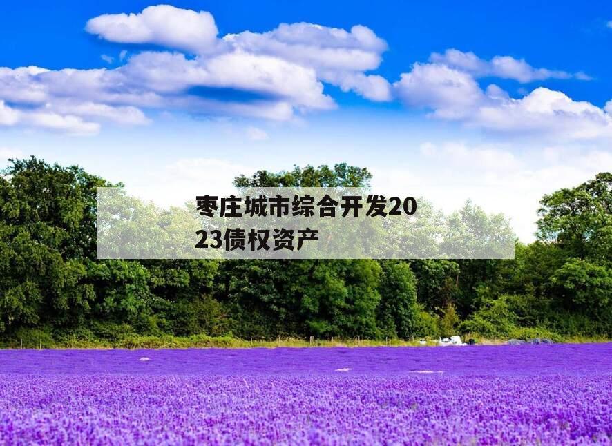 枣庄城市综合开发2023债权资产