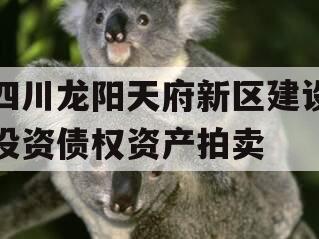 四川龙阳天府新区建设投资债权资产拍卖