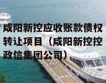 咸阳新控应收账款债权转让项目（咸阳新控控政信集团公司）
