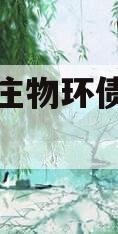 山东枣庄物环债权收益权