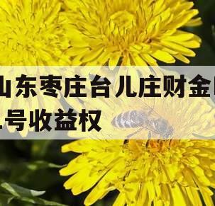 山东枣庄台儿庄财金D1号收益权