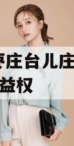 山东枣庄台儿庄财金D1号收益权