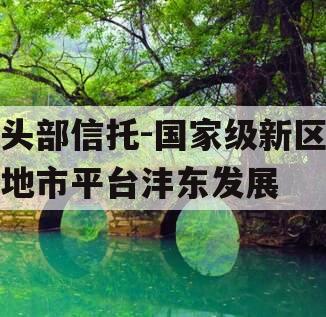 头部信托-国家级新区地市平台沣东发展