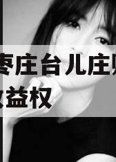 山东枣庄台儿庄财金D1号收益权