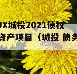 JX城投2021债权资产项目（城投 债务）