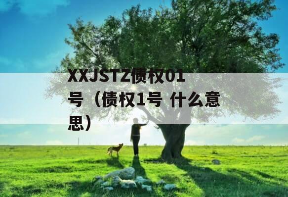 XXJSTZ债权01号（债权1号 什么意思）
