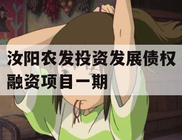 汝阳农发投资发展债权融资项目一期