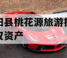 酉阳县桃花源旅游投资债权资产