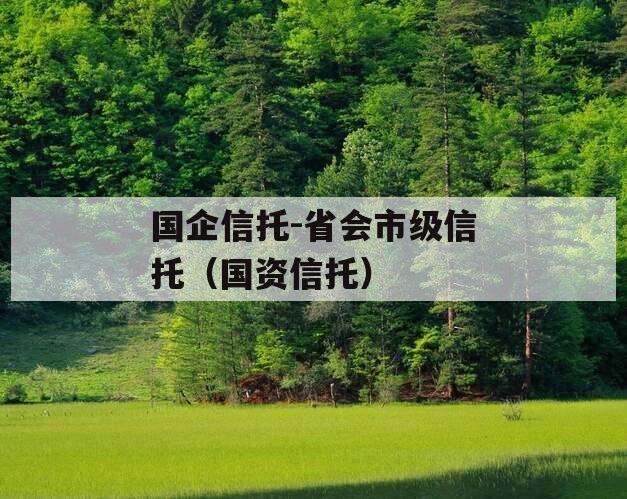 国企信托-省会市级信托（国资信托）