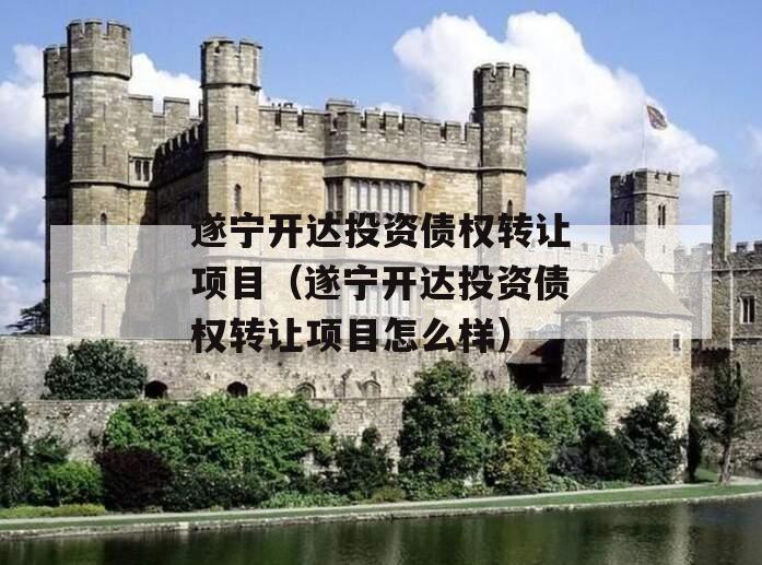 遂宁开达投资债权转让项目（遂宁开达投资债权转让项目怎么样）