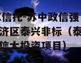 XX信托-苏中政信强经济区泰兴非标（泰兴政信大投资项目）
