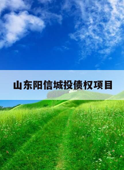 山东阳信城投债权项目